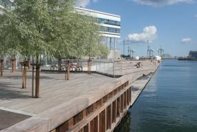 FSC-træ i offentligt projekt på Aarhus Havn