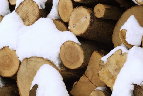 FSC-kontoret har lukket mellem jul og nytår