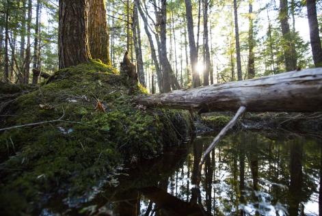 Ny udbudslov for offentligt indk&oslash;b