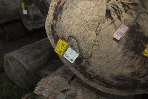 Foto: Morten Bo Johansson