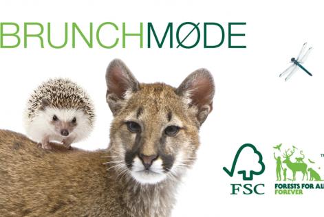 Bliv skarp på, hvordan du kan stille krav om bæredygtigt træ og sikre ordentlig kontrol