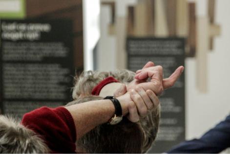 Generalforsamling og temadag 2016