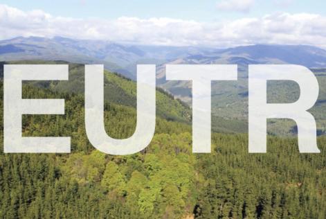 EUTR: Opdateret vejledning og rapport om forordningens virkning