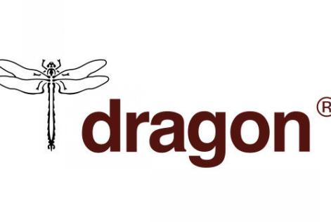 Dragon Logo