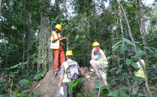 Tre nye koncessioner i Cameroun er nu FSC-certificerede