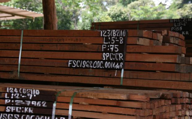 FSC-træ, Borneo