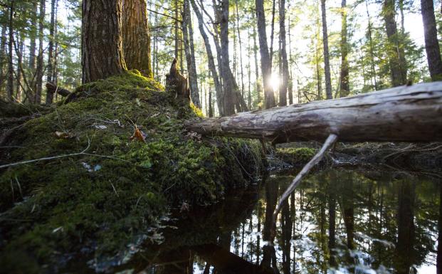 Ny udbudslov for offentligt indk&oslash;b