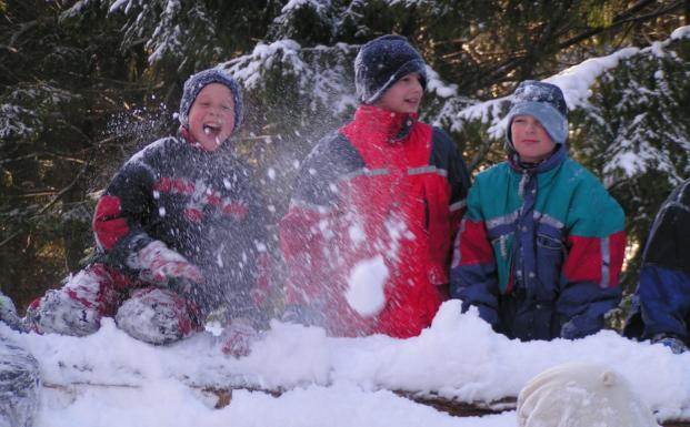 Gl&aelig;delig jul og godt nyt&aring;r fra FSC Danmark