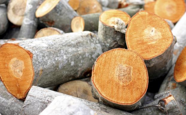 Kritik af EUTR fra forbrugere og industrien