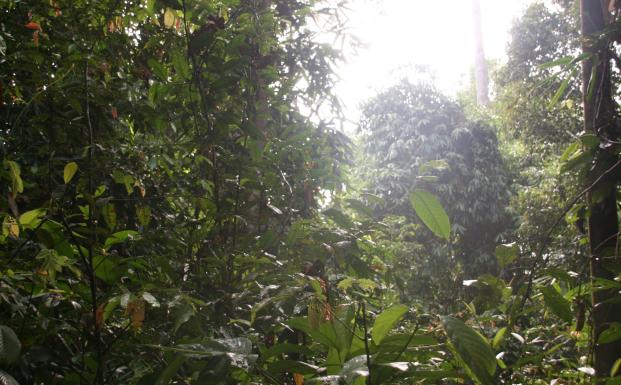 FSC dissocierer sig fra BILT