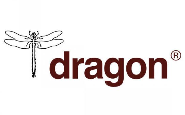 Dragon Logo
