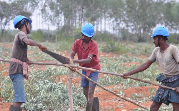 Skovarbejdere i Tamil Nadu