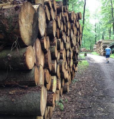 Controlled Wood for skovejere