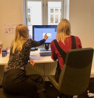 Job i FSC Danmark